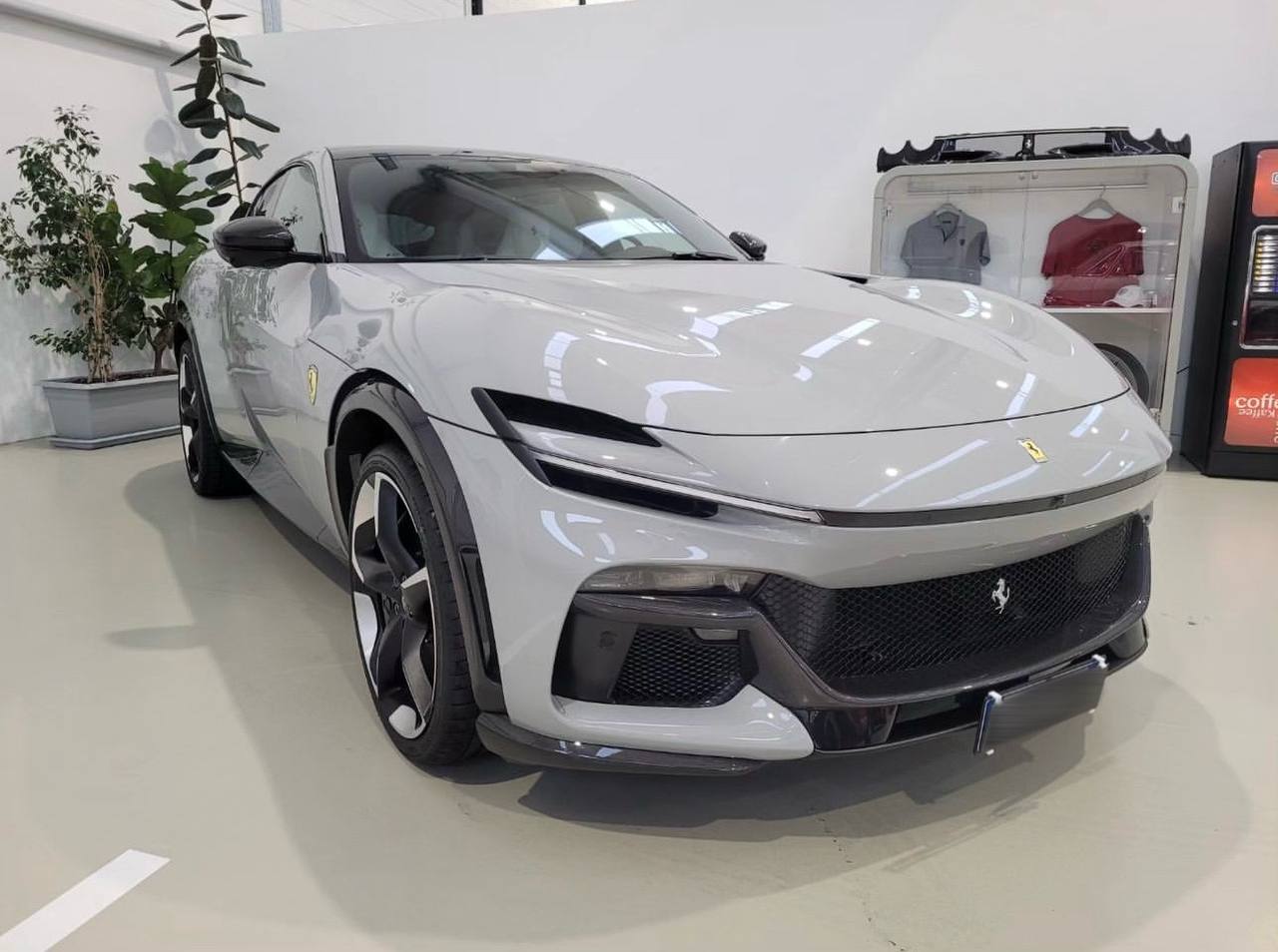 فيراري بوروسانجوي